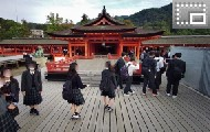 宮島 厳島神社を見学